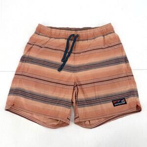 Patagonia Men's Striped Stretch Wavefarer Hybrid Volley Shorts, Size SMALL